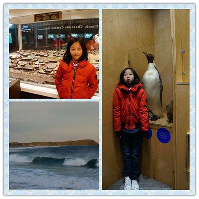 和你一起看世界第三站 澳大利亚，那片南半球的奇迹